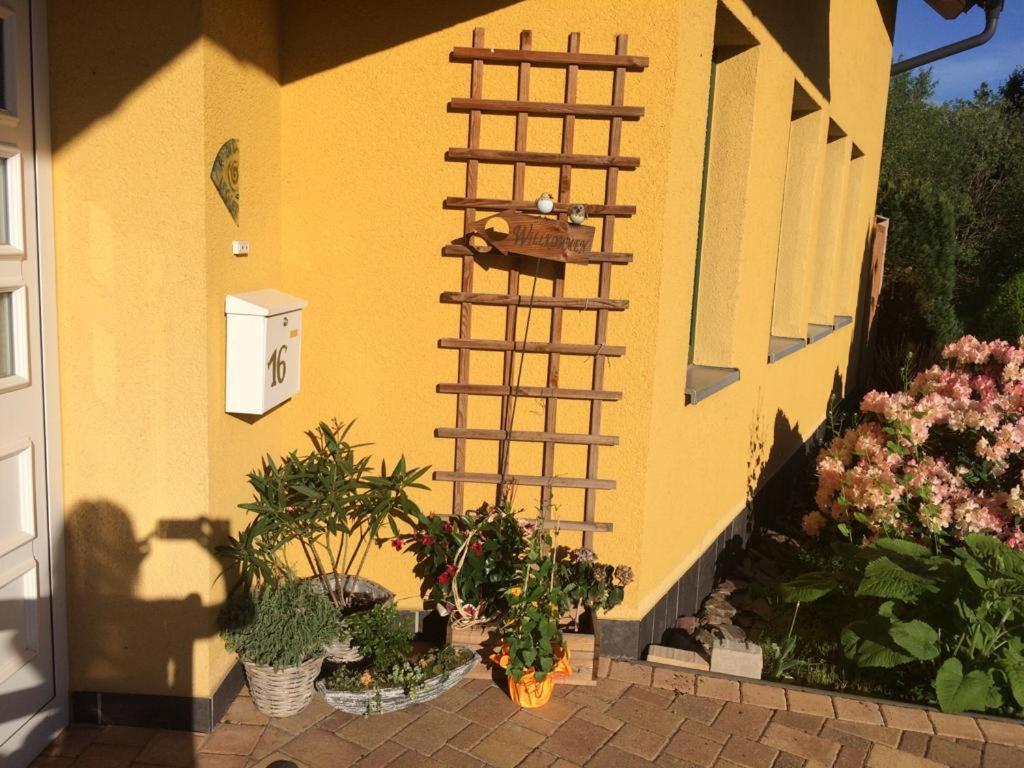 Fewo Kuller Lauscha Exterior foto